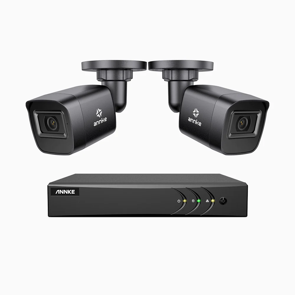 EL200 - Kit videosorveglianza analogica 4 canali con 2 telecamere 1080p, Smart DVR con rilevamento umano e veicoli, visione notturna a infrarossi fino a 66 piedi, segnale di uscita 4-in-1, IP67 - Image 3